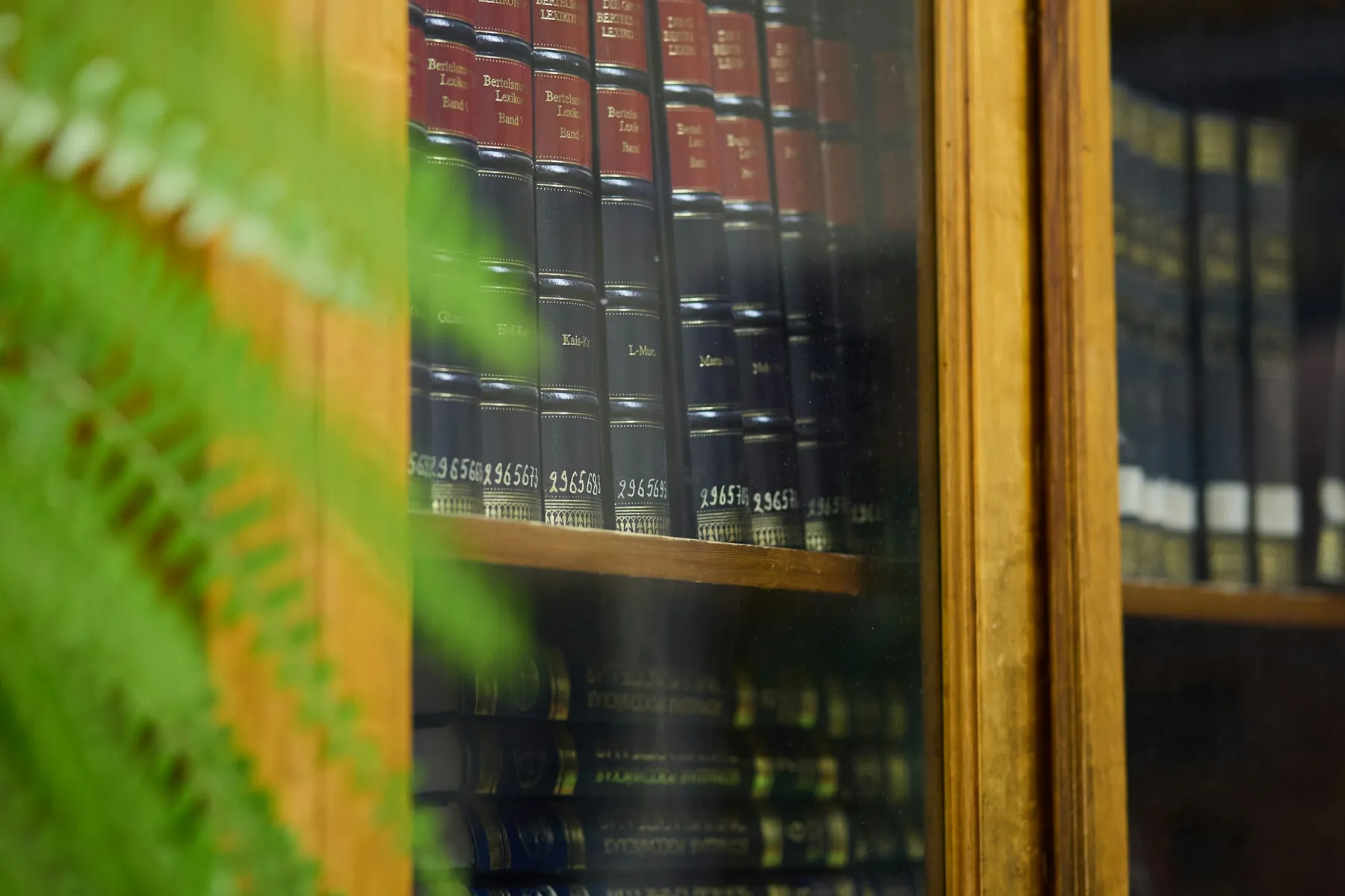 Bound legal volumes on a shelf, a plant leaf across the foreground.